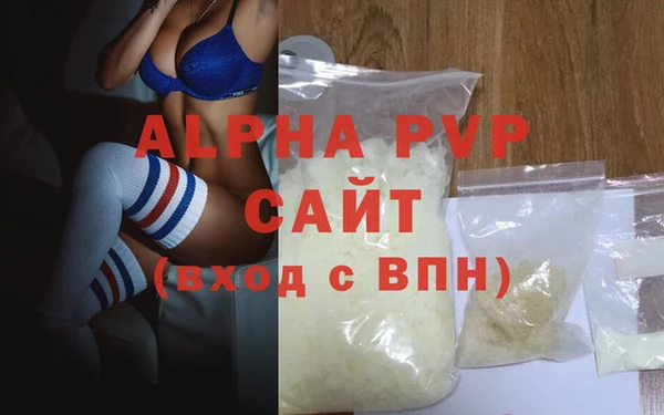 PSILOCYBIN Вяземский