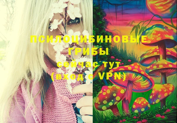 Альфа ПВП Верхнеуральск